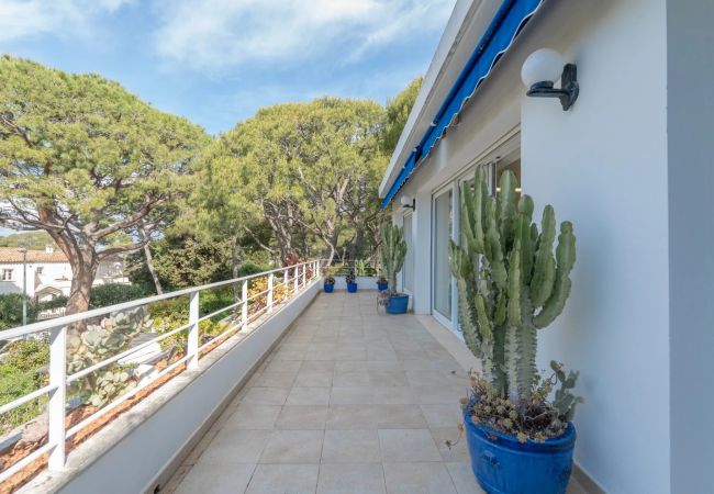 Apartment in Saint-Jean-Cap-Ferrat - Roxane  Apartment in Saint-Jean-Cap-Ferrat - Roxane